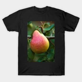 Red yellow pear on a branch T-Shirt